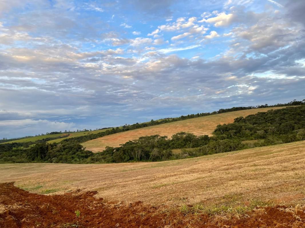 Fazenda, Zona Rural, 0 Quarto, 0 Vaga