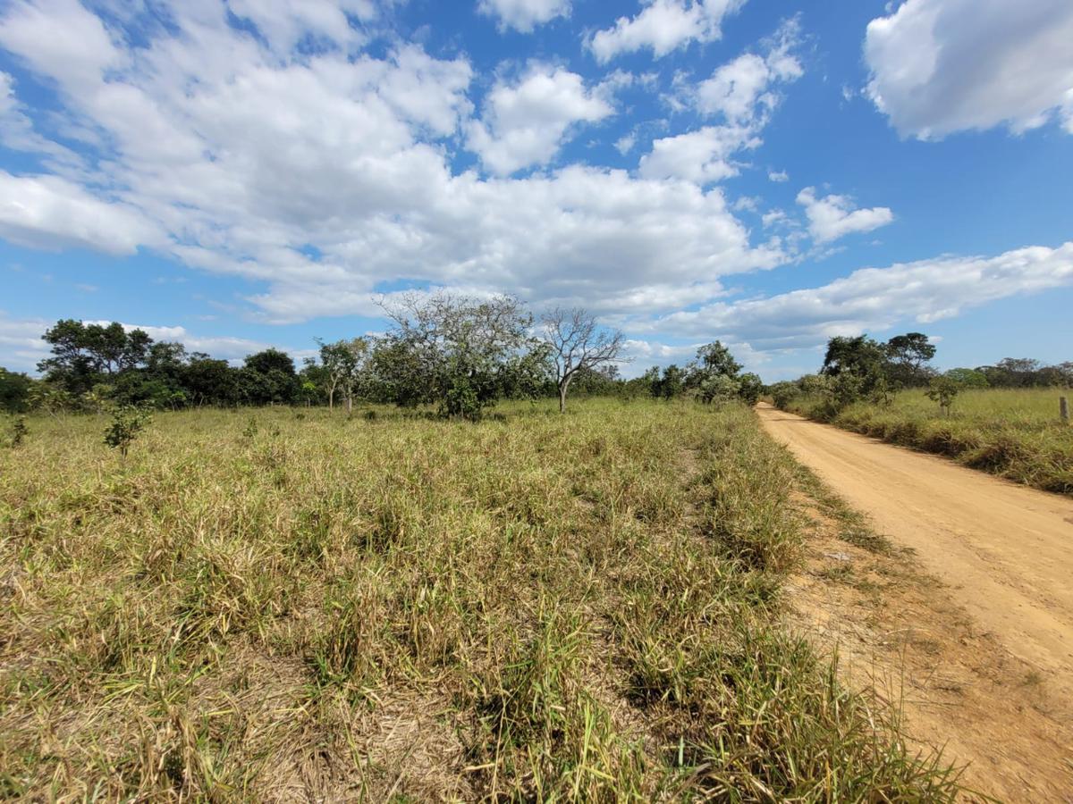 Fazenda, Centro, 0 Quarto, 0 Vaga, 1 Suíte