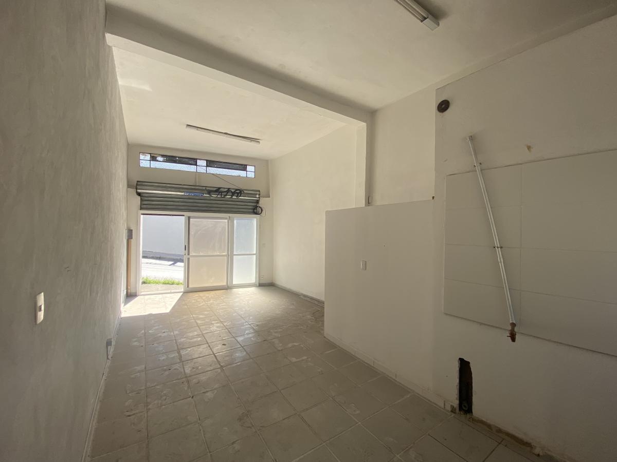 Andar, Floresta, 0 Quarto, 0 Vaga