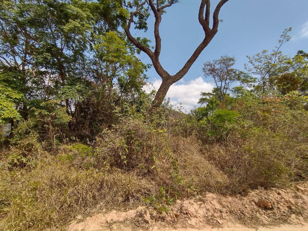 Lote, Pedra Branca, 0 Quarto, 0 Vaga