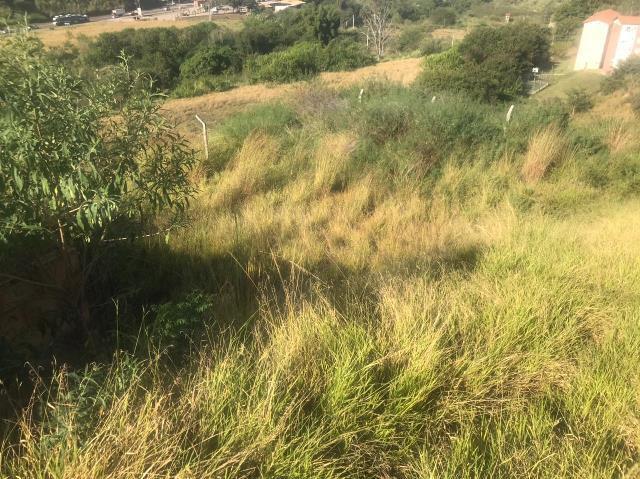 Lote, Jardim Vitória, 0 Quarto, 0 Vaga