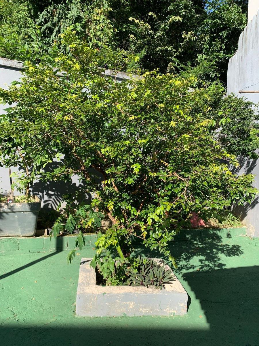 Casa, Solimões, 5 Quartos, 3 Vagas, 1 Suíte