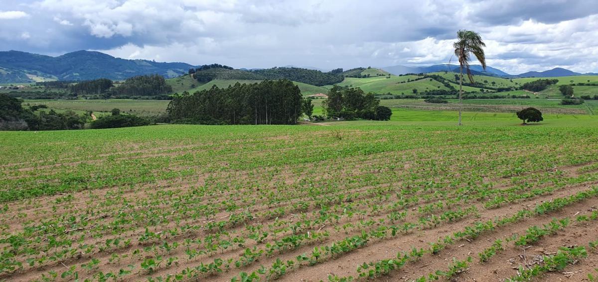 Fazenda, Centro, 1 Quarto, 1 Vaga, 1 Suíte