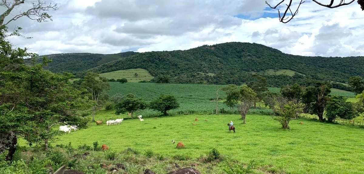 Fazenda, Zona Rural, 4 Quartos, 0 Vaga