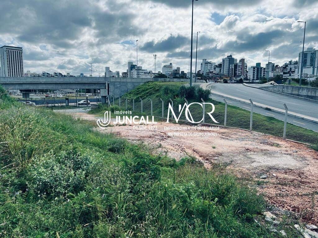 Lote, São Paulo