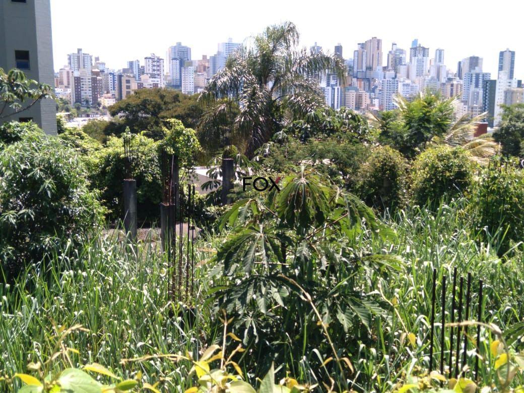 Lote, Estoril, 0 Quarto, 0 Vaga