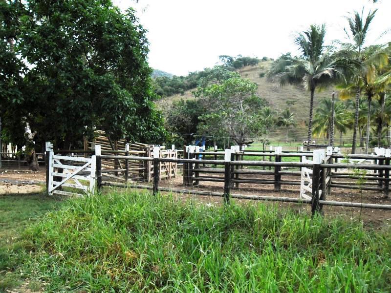 Fazenda, Centro, 3 Quartos, 20 Vagas, 3 Suítes