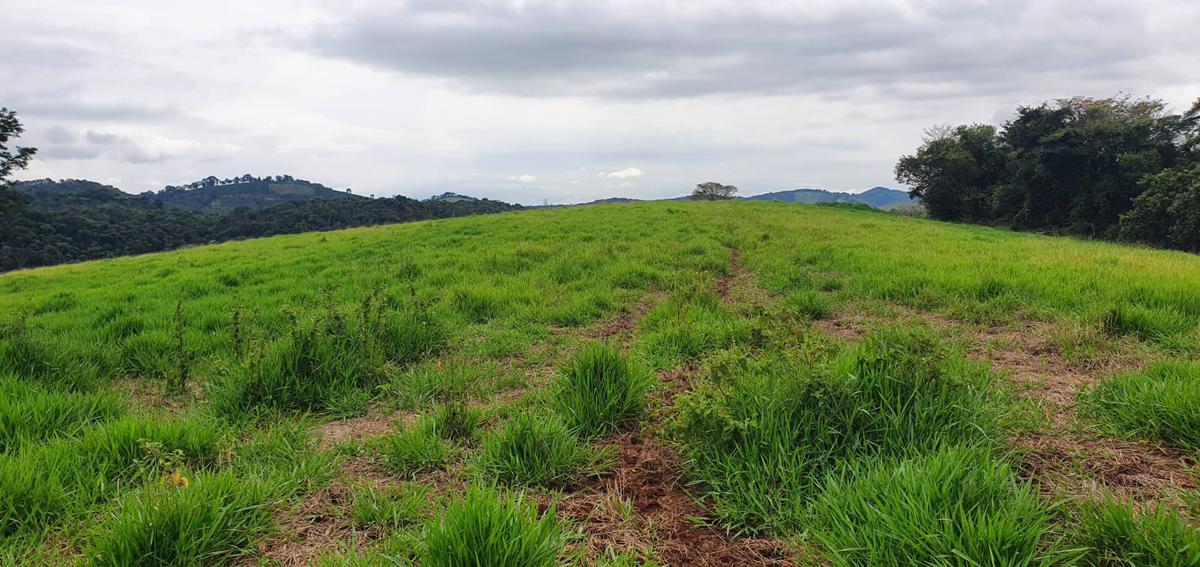 Fazenda, Centro, 4 Quartos, 2 Vagas, 1 Suíte