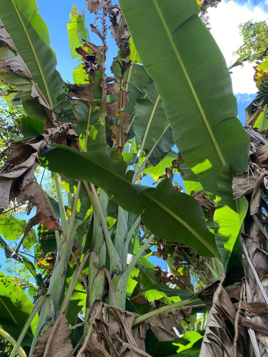Casa, Condominio Recanto do Beija Flor, 2 Quartos, 2 Vagas, 1 Suíte