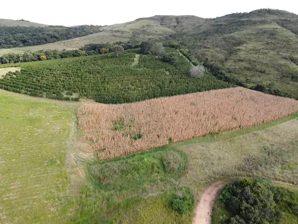 Fazenda, Zona Rural, 0 Quarto, 0 Vaga