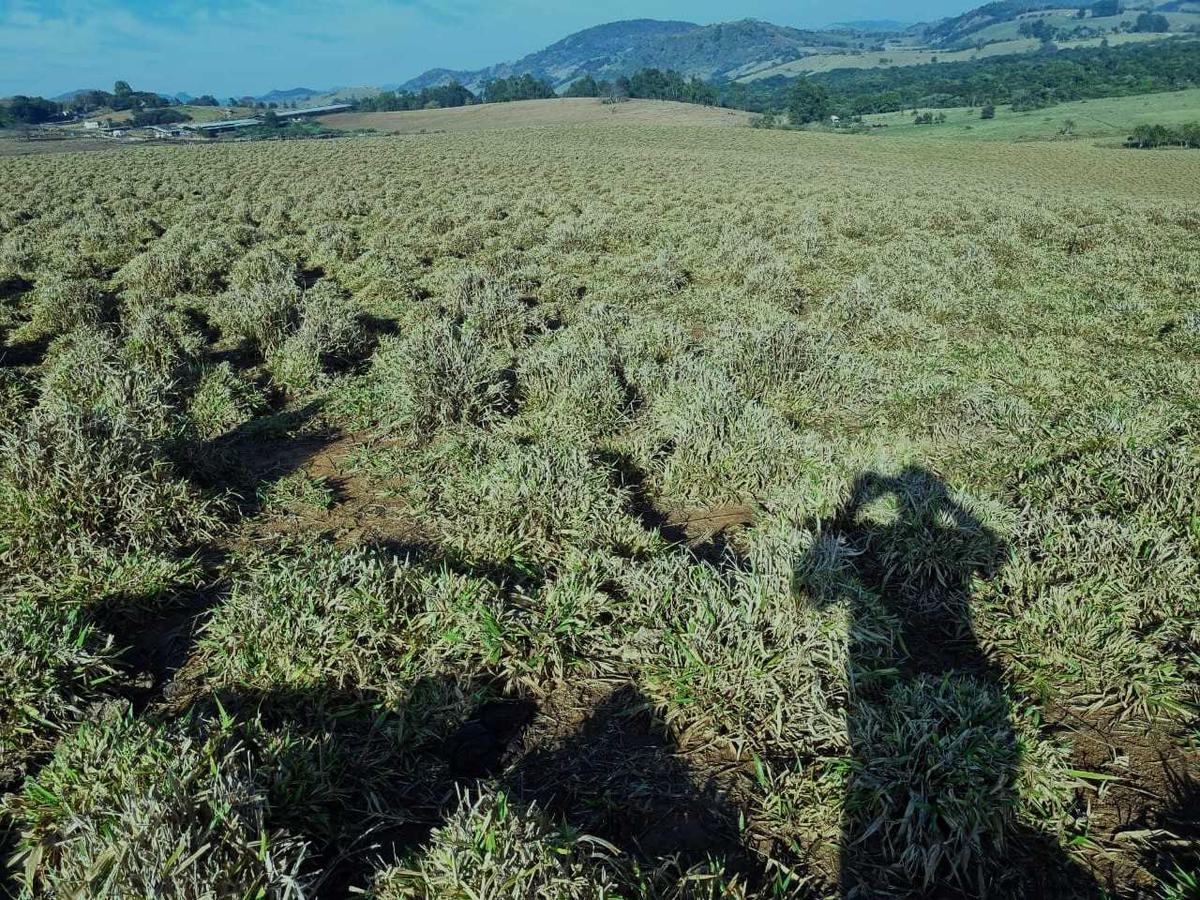 Fazenda, Zona Rural, 3 Quartos, 0 Vaga