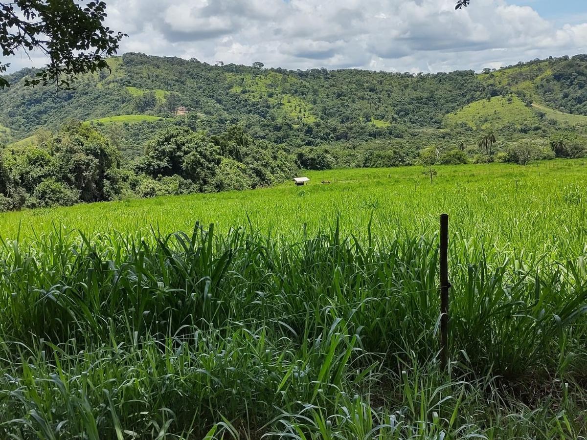 Fazenda, Centro, 4 Quartos, 2 Vagas