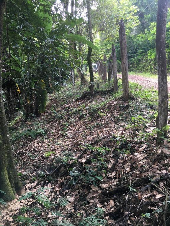 Lote, Mangueiras, 0 Quarto, 0 Vaga