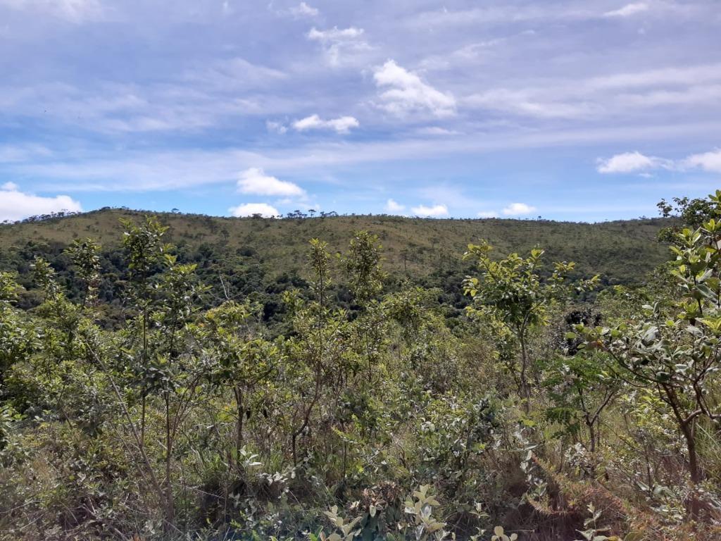 Lote, Morro Vermelho, 0 Quarto, 0 Vaga