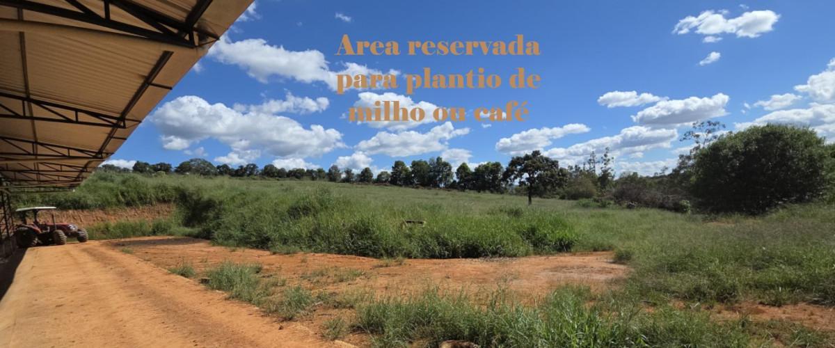 Fazenda, Zona Rural, 3 Quartos, 0 Vaga, 1 Suíte