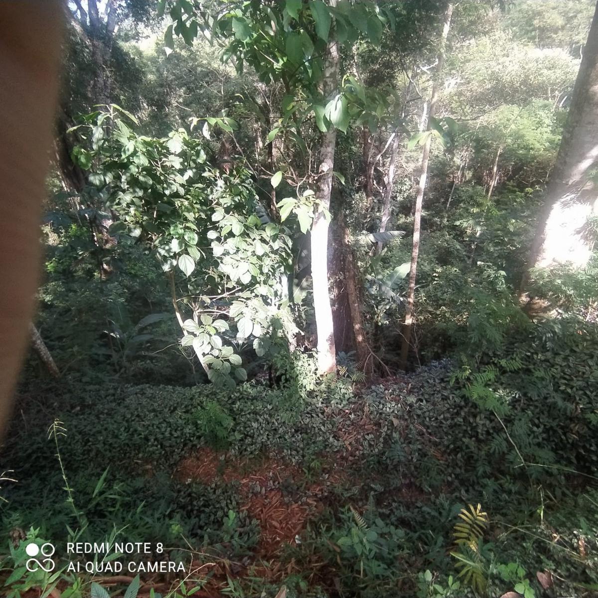 Fazenda, Zona Rural, 3 Quartos, 5 Vagas