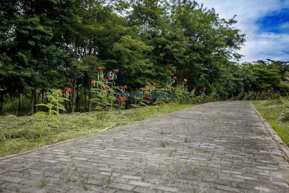 Fazenda, Centro, 0 Quarto, 0 Vaga