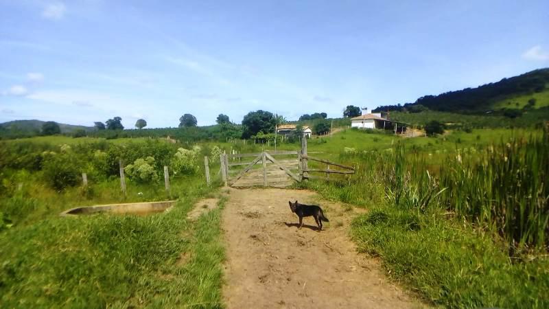 Fazenda, Zona Rural, 0 Quarto, 0 Vaga