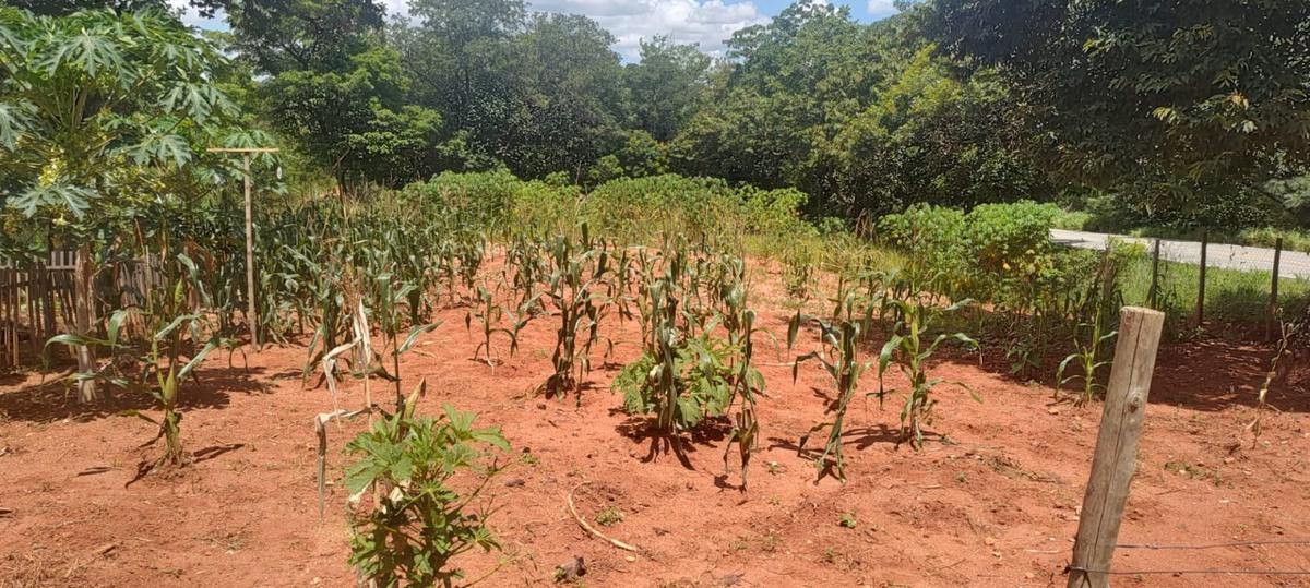 Fazenda, Centro, 6 Quartos, 10 Vagas, 1 Suíte