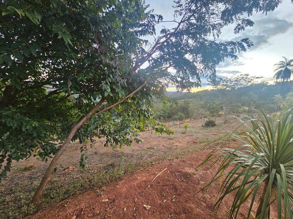 Fazenda, Morro Vermelho, 0 Quarto, 0 Vaga