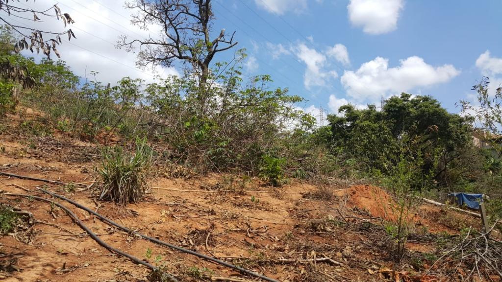 Lote, Rosário, 0 Quarto, 0 Vaga