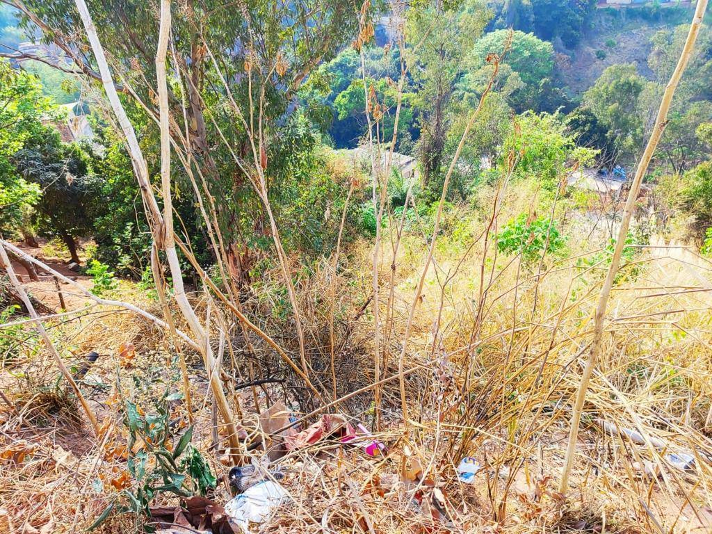 Lote, Nossa Senhora de Fátima, 0 Quarto, 0 Vaga