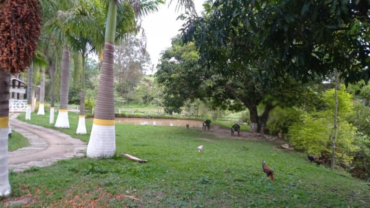 Fazenda, Centro, 6 Quartos, 3 Vagas