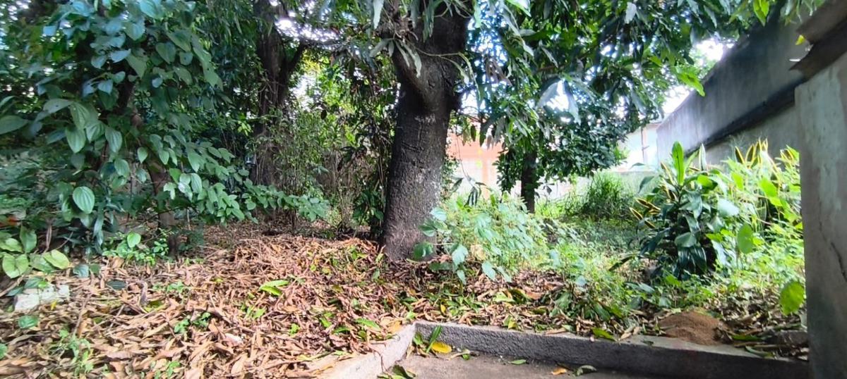 Lote, Santa Cruz, 0 Quarto, 0 Vaga