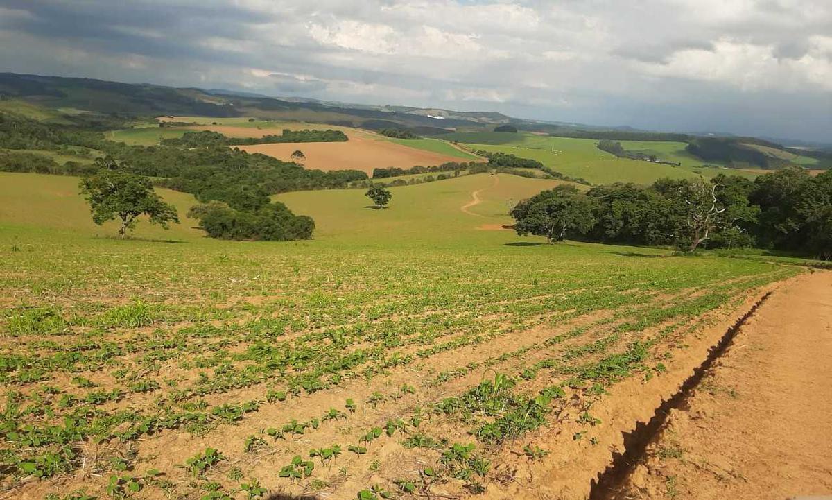 Fazenda, Centro, 0 Quarto, 0 Vaga