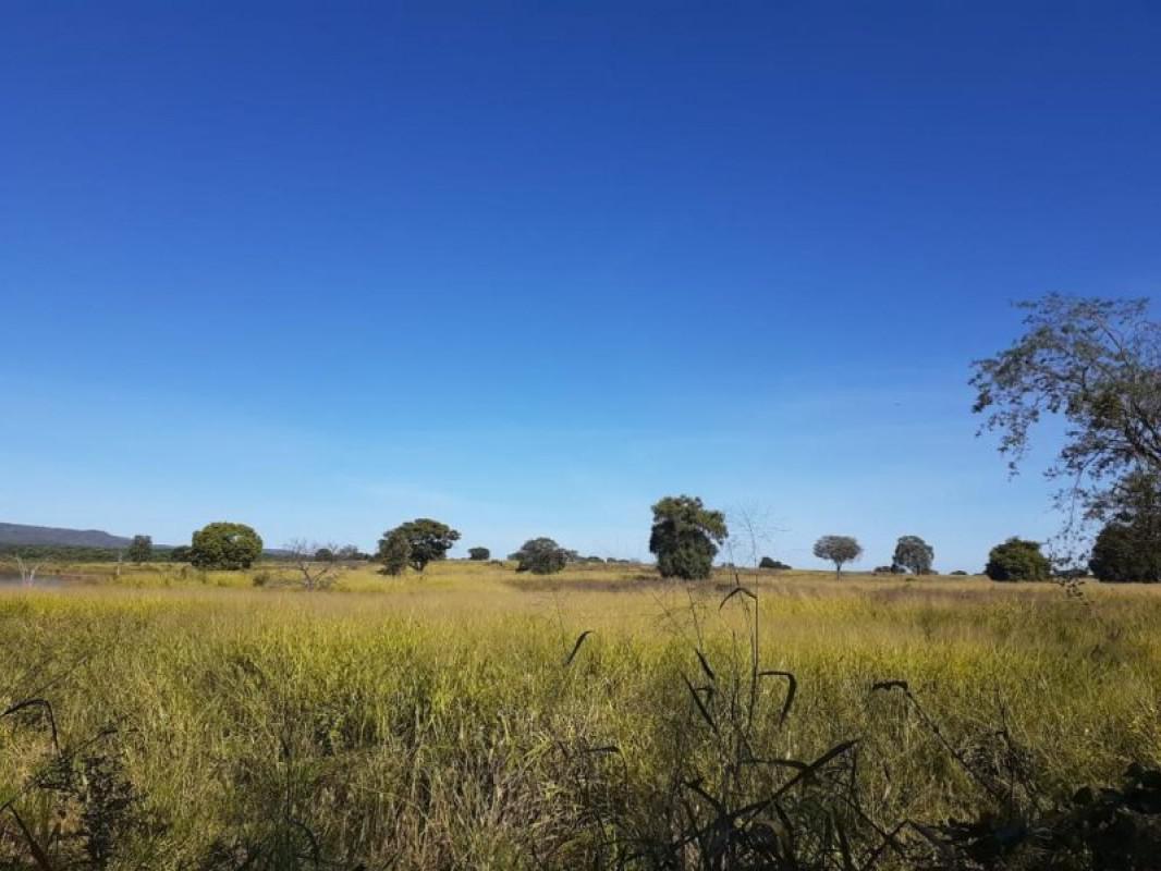 Fazenda, Centro, 0 Quarto, 0 Vaga