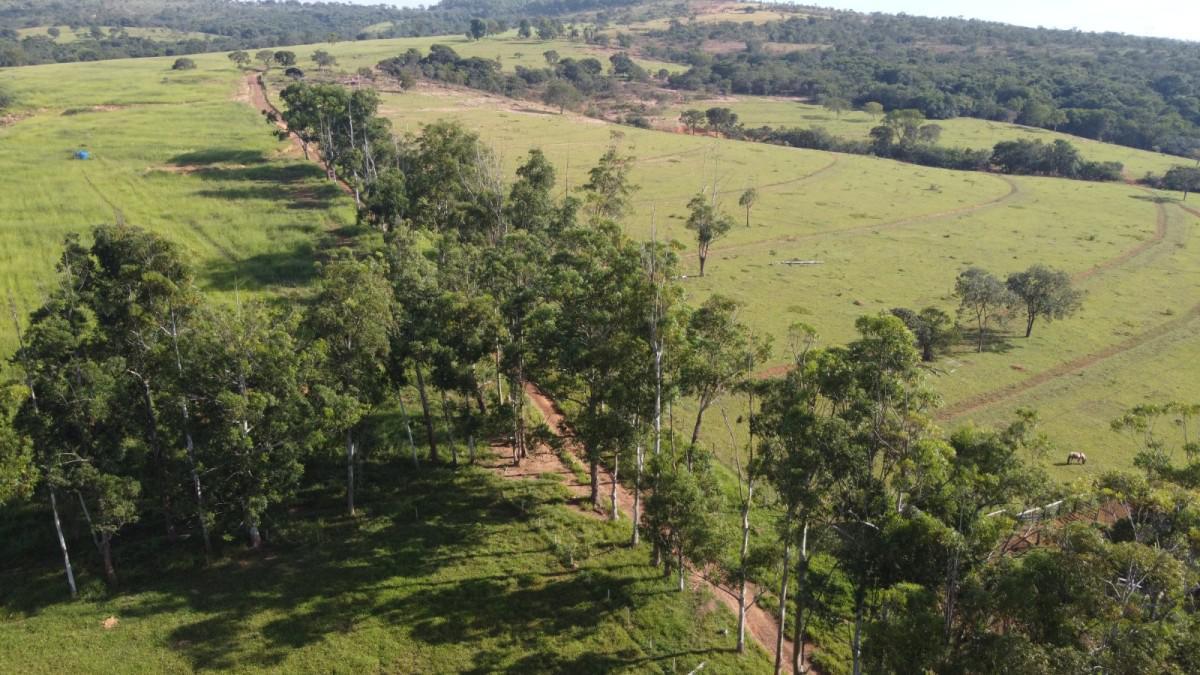 Lote, Centro, 3 Quartos, 0 Vaga