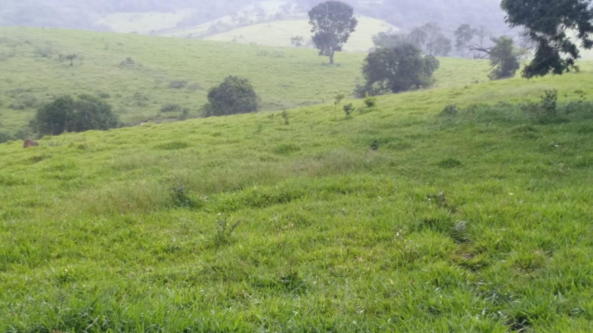 Fazenda, Zona Rural, 0 Quarto, 0 Vaga