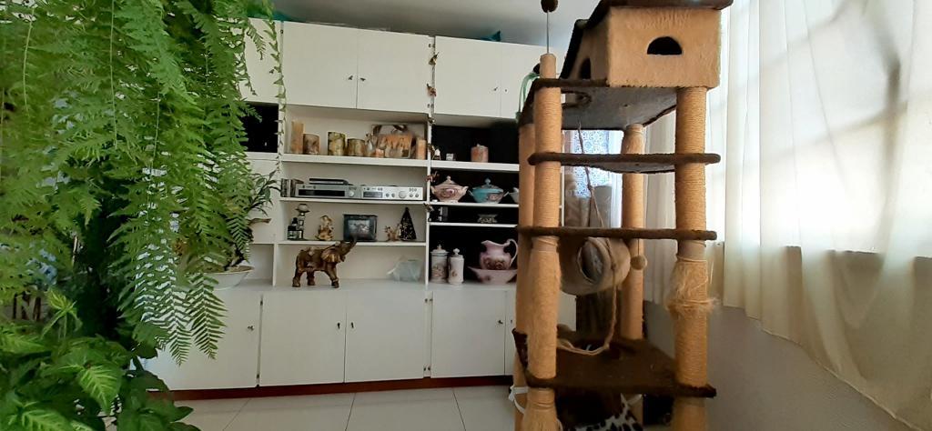 Apartamento, Barro Preto, 4 Quartos, 0 Vaga