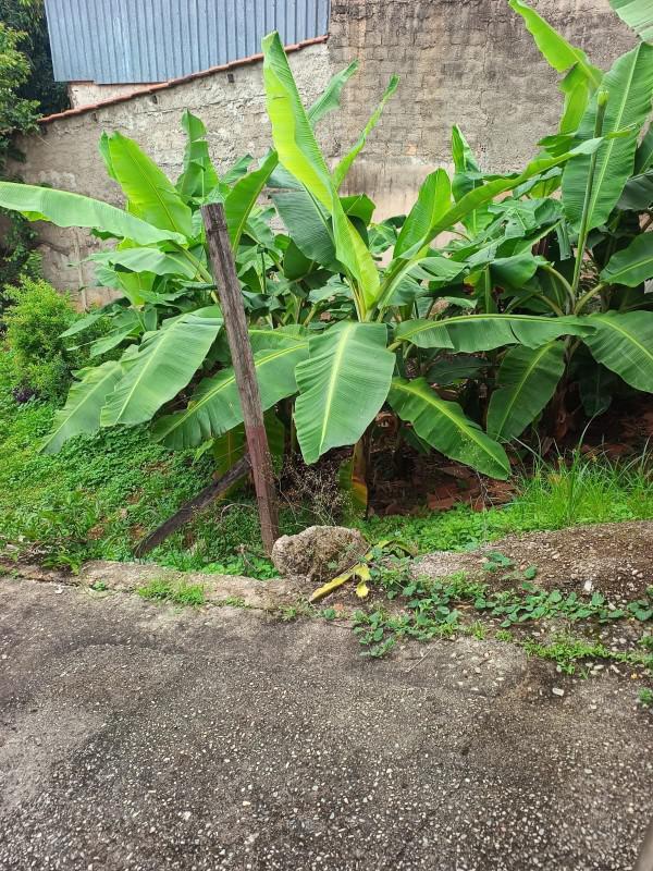 Casa, Alvorada, 2 Quartos, 0 Vaga