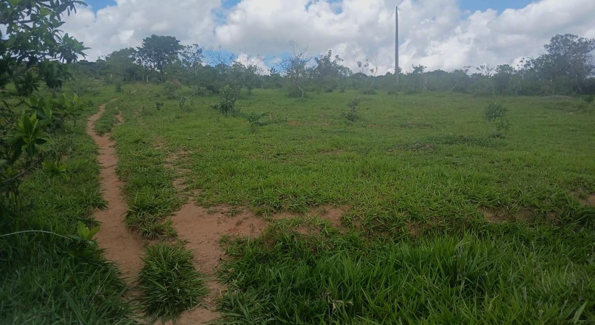 Fazenda, Zona Rural, 0 Quarto, 0 Vaga