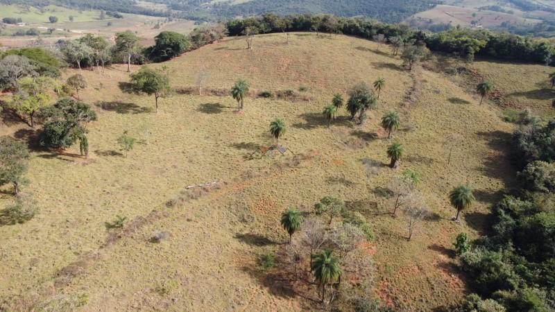 Fazenda, Centro, 1 Quarto, 0 Vaga