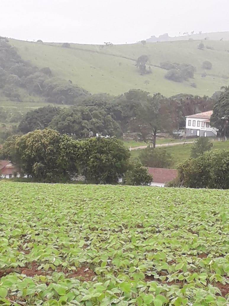 Fazenda, Centro, 1 Quarto, 1 Vaga, 1 Suíte