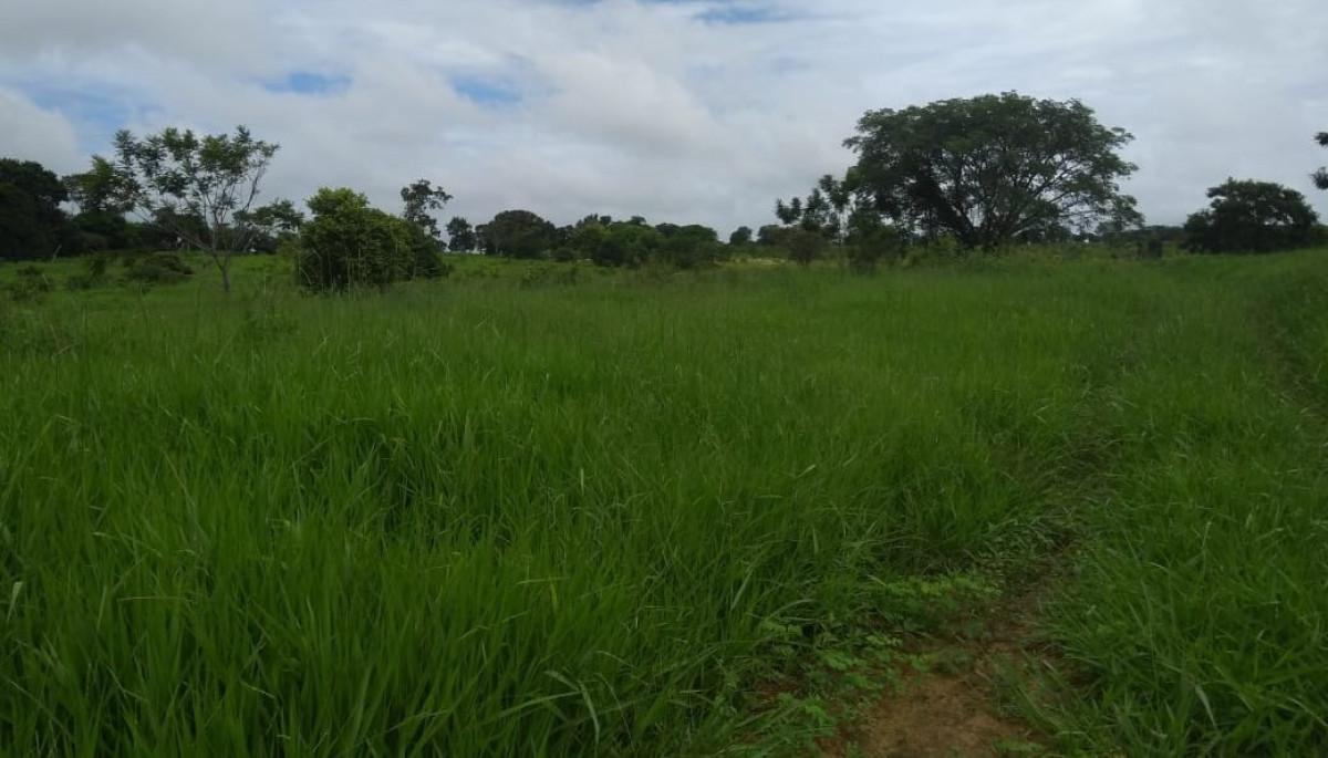 Fazenda, Zona Rural, 0 Quarto, 0 Vaga, 5 Suítes