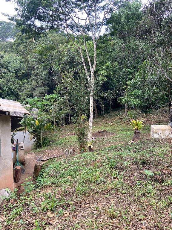 Fazenda, Arraial Velho, 0 Quarto, 0 Vaga