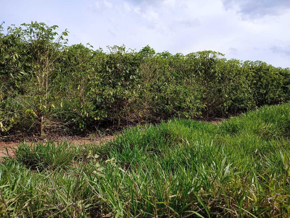 Fazenda, Zona Rural, 1 Quarto, 0 Vaga