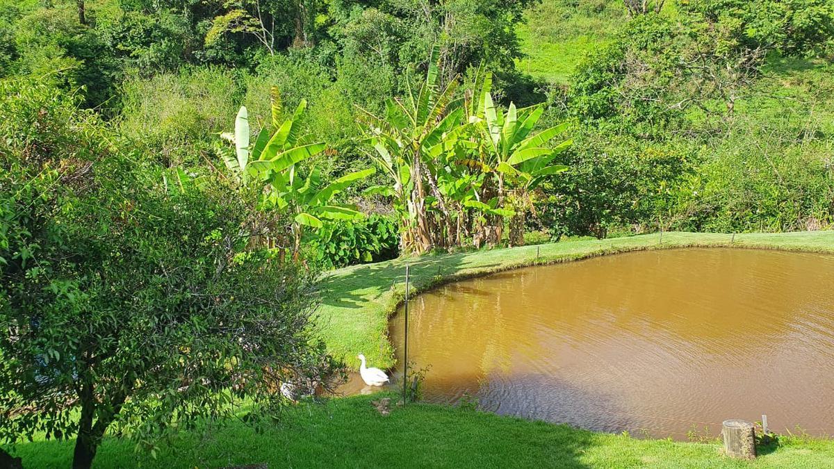 Fazenda, Centro, 3 Quartos, 0 Vaga, 2 Suítes