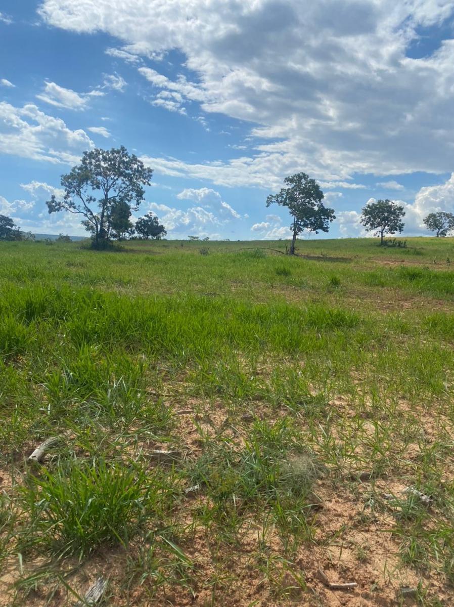 Fazenda, Centro, 4 Quartos, 2 Vagas