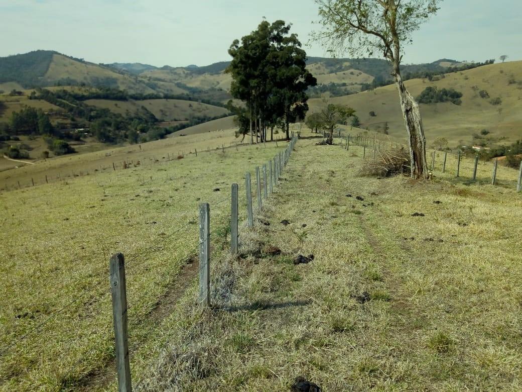 Fazenda, Centro, 1 Quarto, 1 Vaga, 1 Suíte