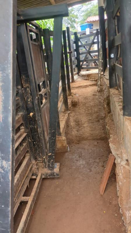 Fazenda, Centro, 3 Quartos, 100 Vagas
