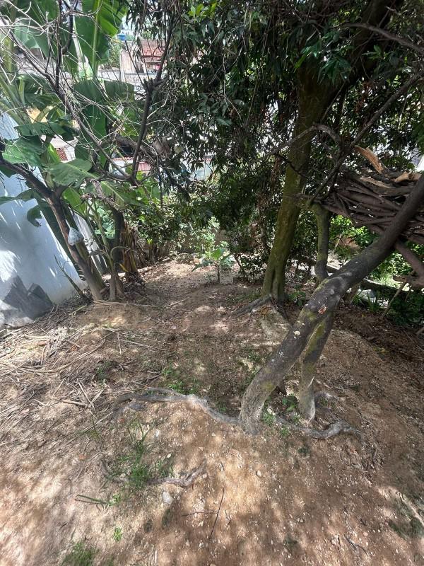 Casa, Pindorama, 3 Quartos, 4 Vagas