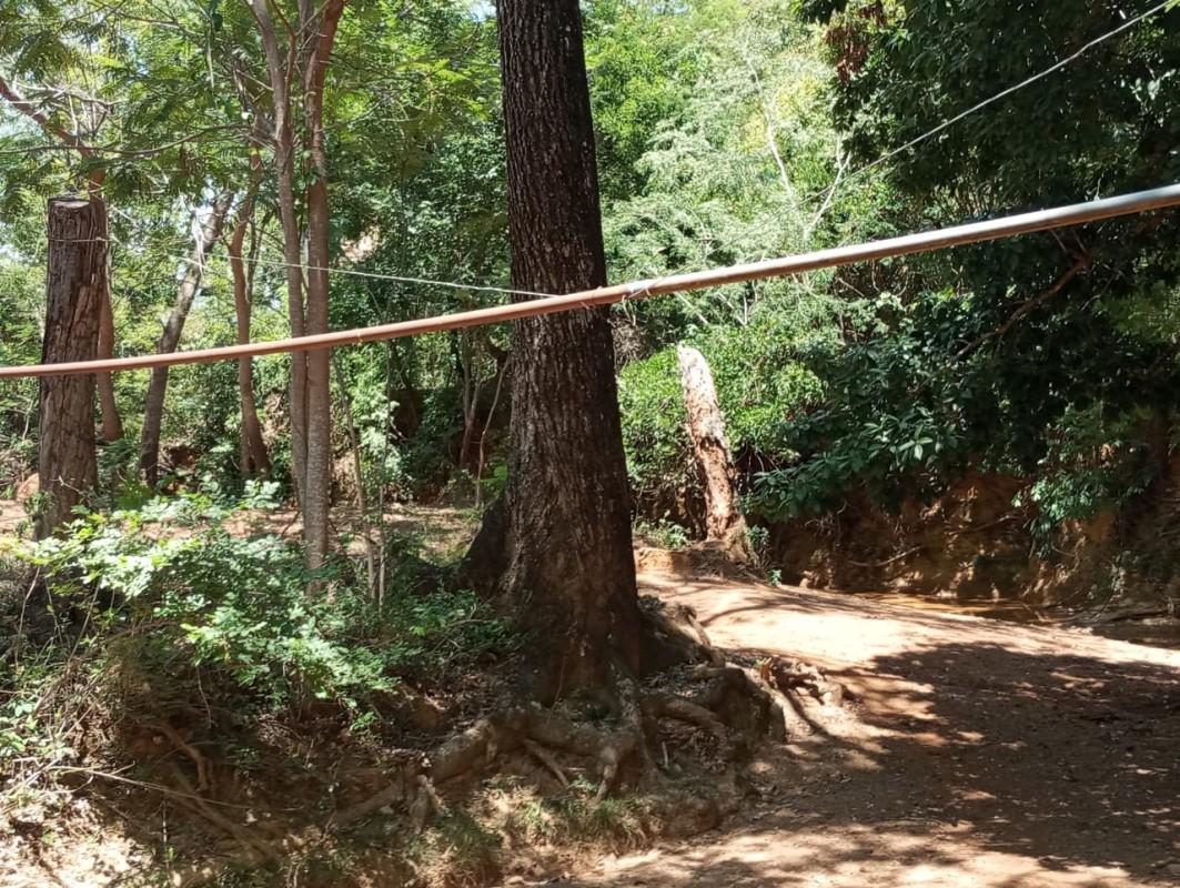 Fazenda, Centro, 0 Quarto, 0 Vaga