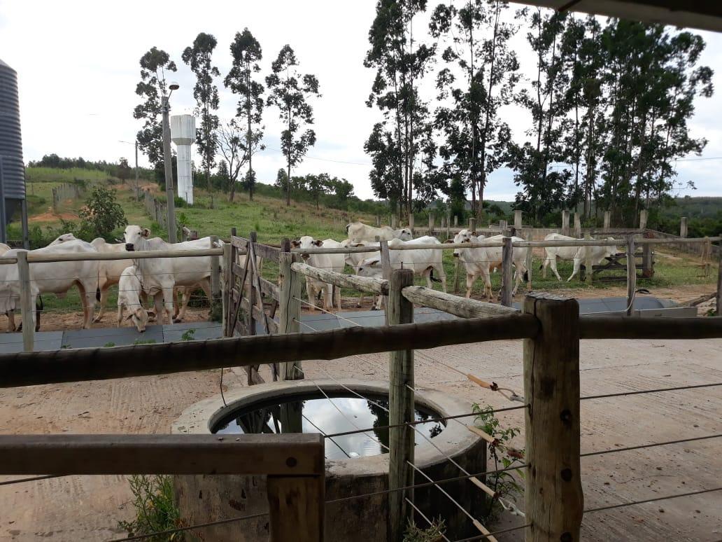Fazenda, Zona Rural, 4 Quartos, 0 Vaga, 1 Suíte