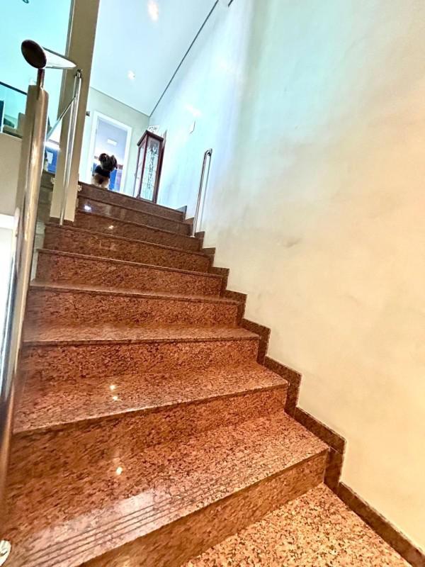 Cobertura, Castelo, 4 Quartos, 2 Vagas, 1 Suíte