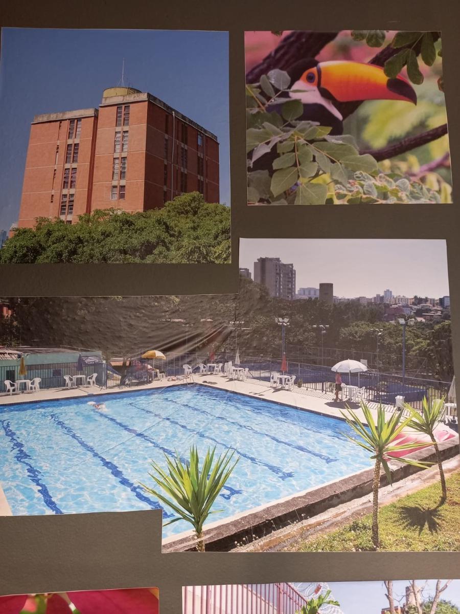 Apartamento, Estrela Dalva, 3 Quartos, 1 Vaga