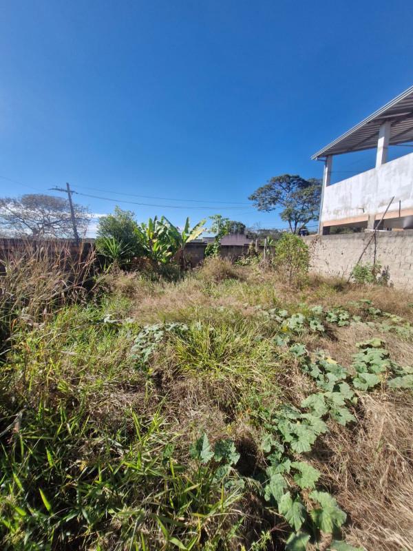 Lote, Quintas do Jacuba, 0 Quarto, 0 Vaga